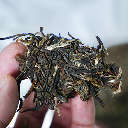 润品昌降价清仓【2023年坝卡囡】仅次老班章 海拔1600米以上普洱茶生茶357克/饼 商品图2