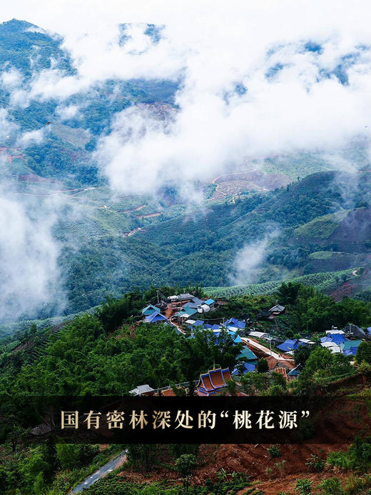 【古法桃子寨】2019年头春古树茶与紫砂罐完美融合普洱茶生茶送礼首选300克/罐拍5发6拍20发25 商品图1