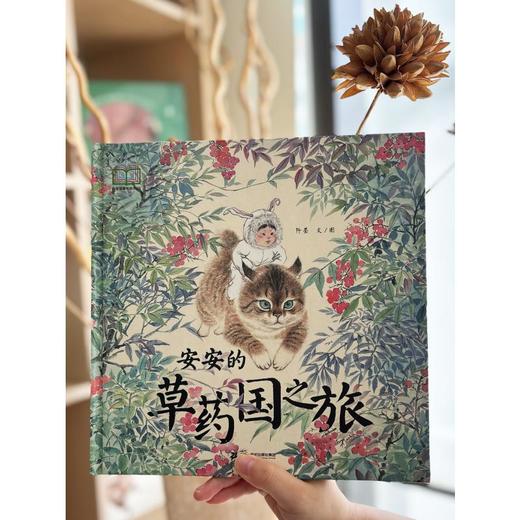 安安的草药国之旅 商品图4