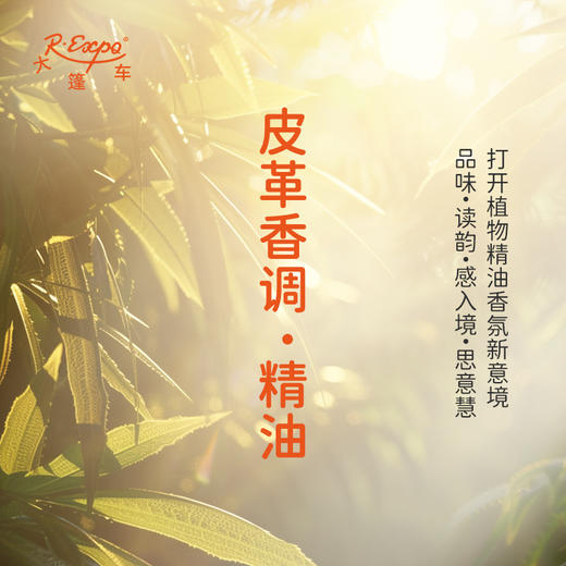 皮革香调·精油植物精油适用香水护肤洗护产品空间香氛大篷车精油 商品图0