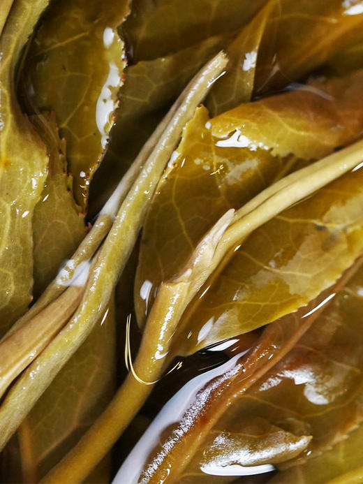 【班章生态沱】2024年班章五寨拼配隆重打造特别福利品普洱茶生茶500克/沱 商品图9