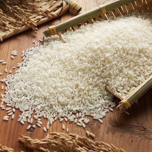 中粮初萃五常绿色长粒香大米5kg 商品图4