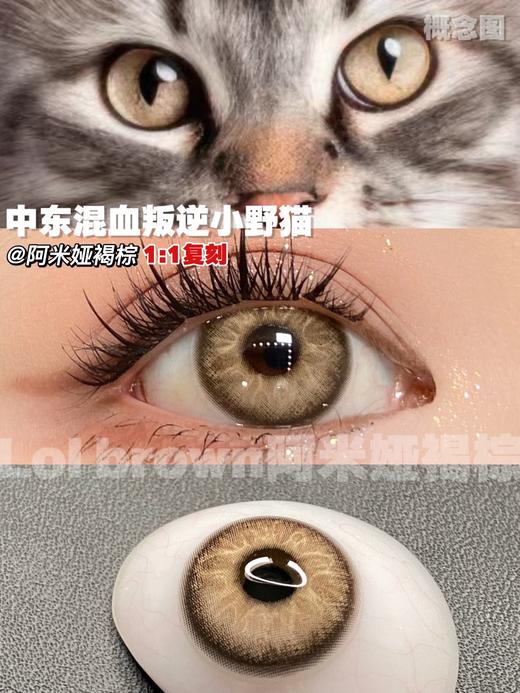 suki stuki 年抛 阿米娅褐棕 直径14.2mm着色13.5mm 商品图6