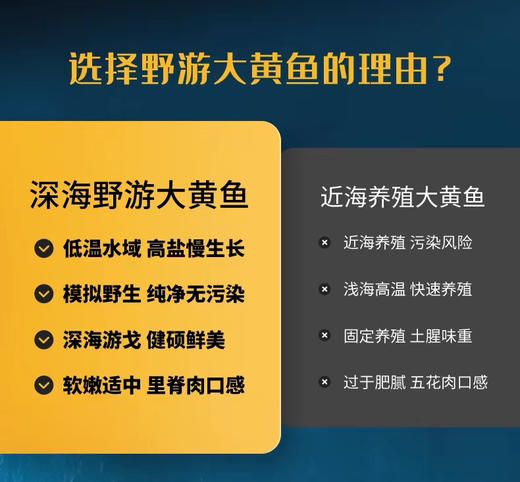 国信大黄花鱼 野游黄花鱼 中秋礼盒装 商品图5