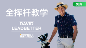 全挥杆教学-大卫·利百特