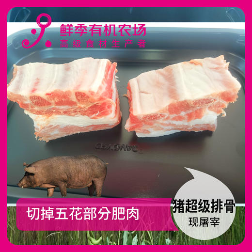 有机猪超级排骨500g 商品图2