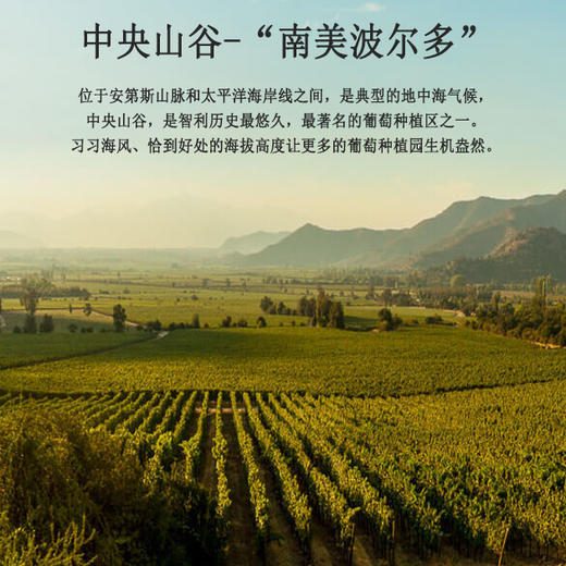 750ml x 6瓶智利红杉谷精选美乐红葡萄酒 商品图4