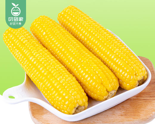 金朗地东北甜糯玉米/1箱（220g*10棒）生产日期：25年4月 商品图1
