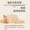 拜迪恩能量钙100ml 犬猫通用 水解离子钙 天然食材提纯 口味佳好吸收 商品缩略图4
