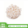 鲜嫩 白玉菇360g-380g（盒） 商品缩略图0