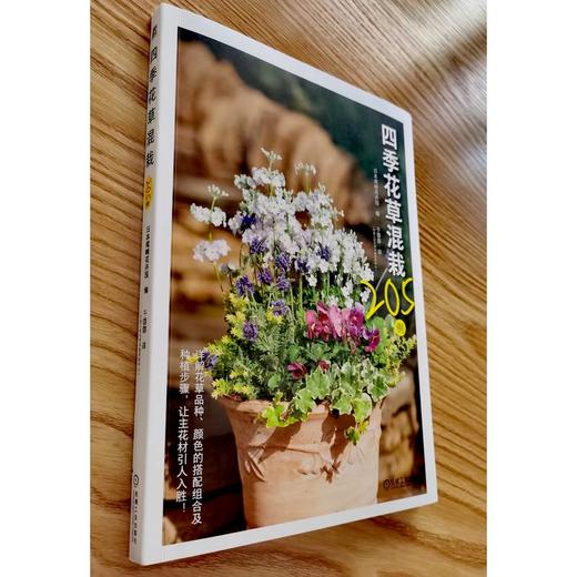 四季花草混栽205例 商品图2