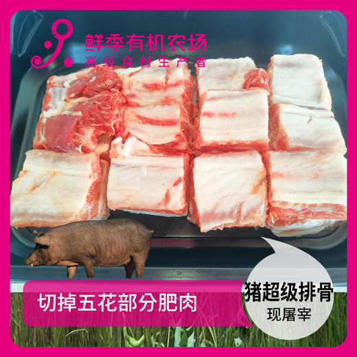有机猪超级排骨500g 商品图1