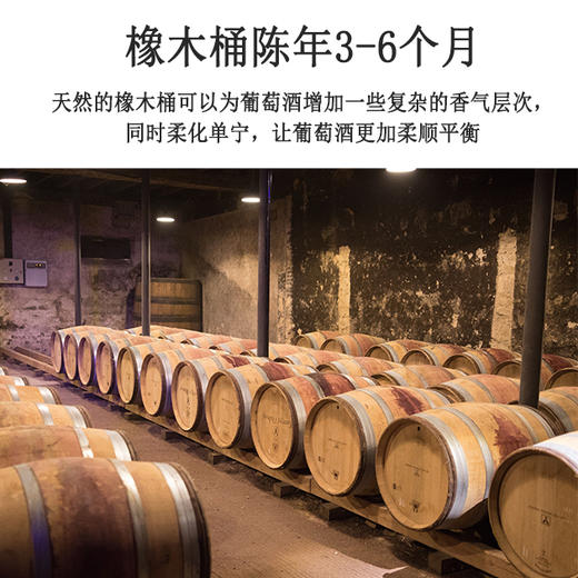 750ml x 6瓶，智利红杉谷赤霞珠红葡萄酒 商品图3