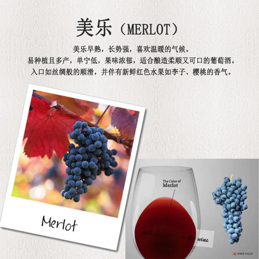 750ml x 6瓶智利红杉谷精选美乐红葡萄酒 商品图3