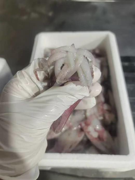 海兔一箱 商品图2