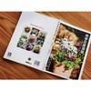 四季花草混栽205例 商品缩略图3