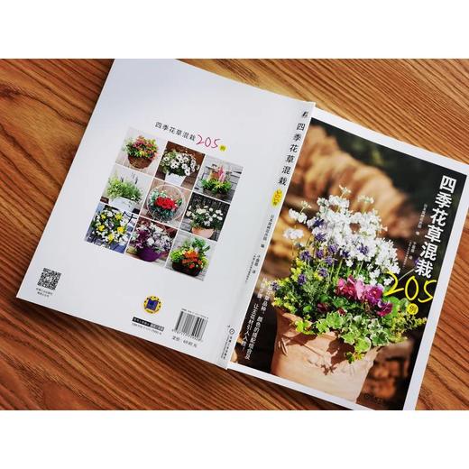 四季花草混栽205例 商品图3