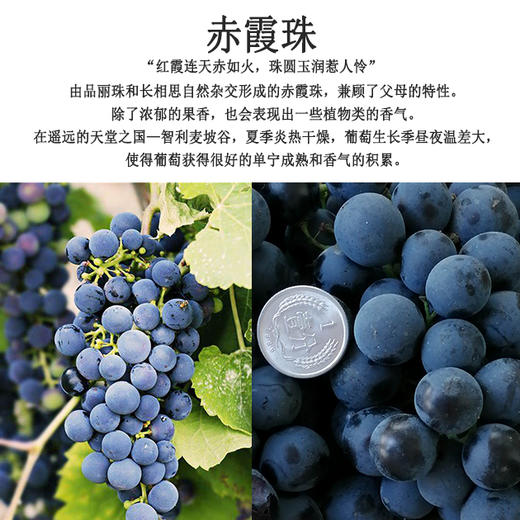 750ml x 6瓶，智利红杉谷赤霞珠红葡萄酒 商品图4