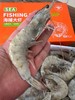 新鲜海捕！厄瓜多尔白虾【盐冻大虾】来自南美纯净海域  盐冻锁鲜 从大海到餐桌 保留深海的原汁原味 个头超大 肉质细腻 怎么做都好吃 商品缩略图0