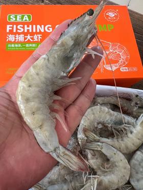 新鲜海捕！厄瓜多尔白虾【盐冻大虾】来自南美纯净海域  盐冻锁鲜 从大海到餐桌 保留深海的原汁原味 个头超大 肉质细腻 怎么做都好吃