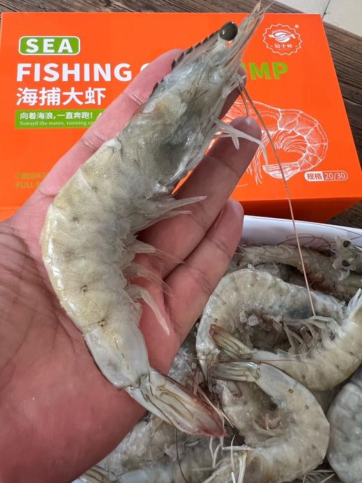 新鲜海捕！厄瓜多尔白虾【盐冻大虾】来自南美纯净海域  盐冻锁鲜 从大海到餐桌 保留深海的原汁原味 个头超大 肉质细腻 怎么做都好吃 商品图0