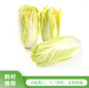 娃娃菜【550g-650g】 商品缩略图0