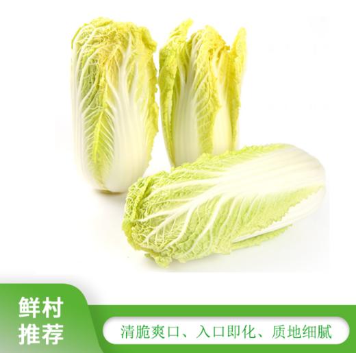 娃娃菜【550g-650g】 商品图0