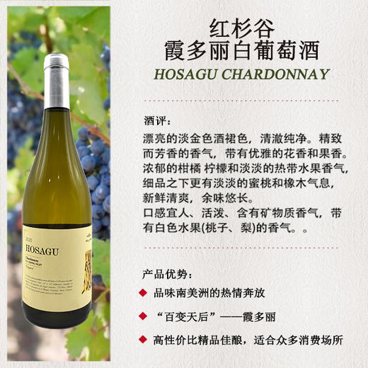 750ml x 6瓶智利红杉谷霞多丽干白葡萄酒 商品图0