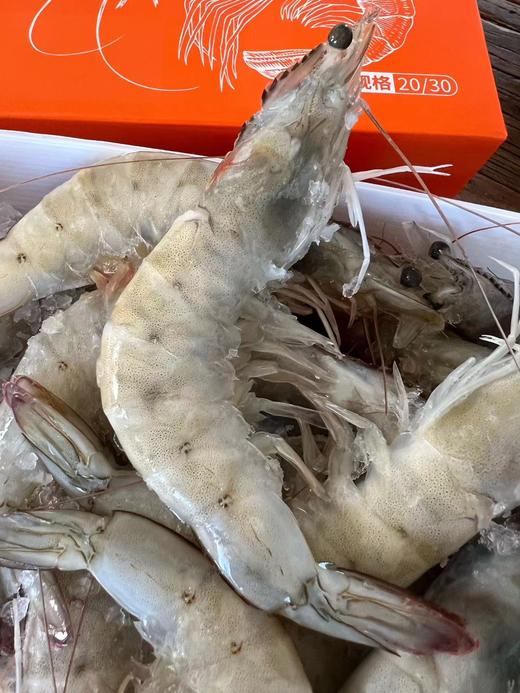 新鲜海捕！厄瓜多尔白虾【盐冻大虾】来自南美纯净海域  盐冻锁鲜 从大海到餐桌 保留深海的原汁原味 个头超大 肉质细腻 怎么做都好吃 商品图1