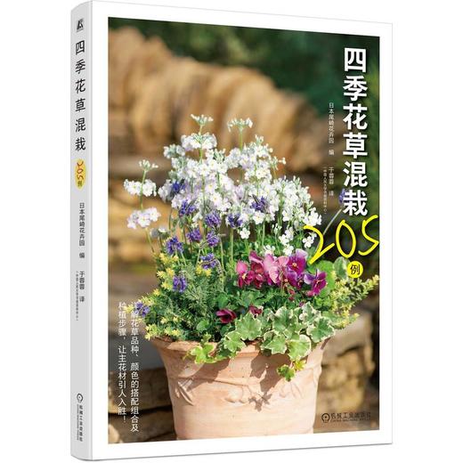 四季花草混栽205例 商品图0