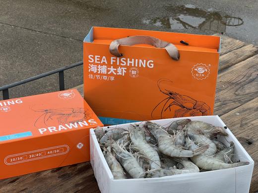 海捕大虾·2024中秋礼盒版 商品图4