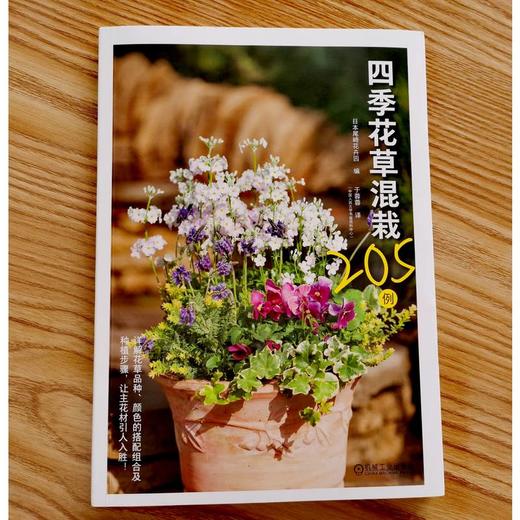 四季花草混栽205例 商品图1