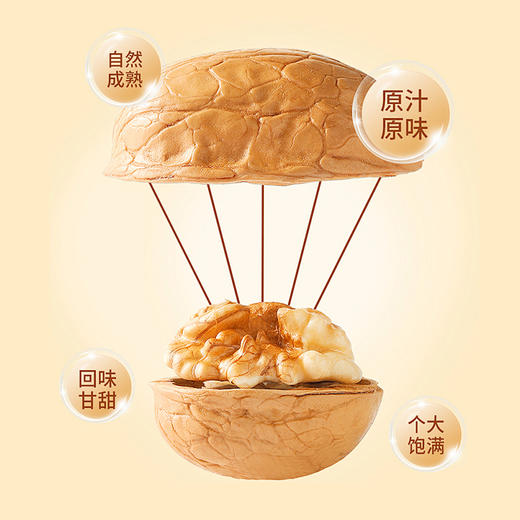 核桃1kg/袋 商品图2