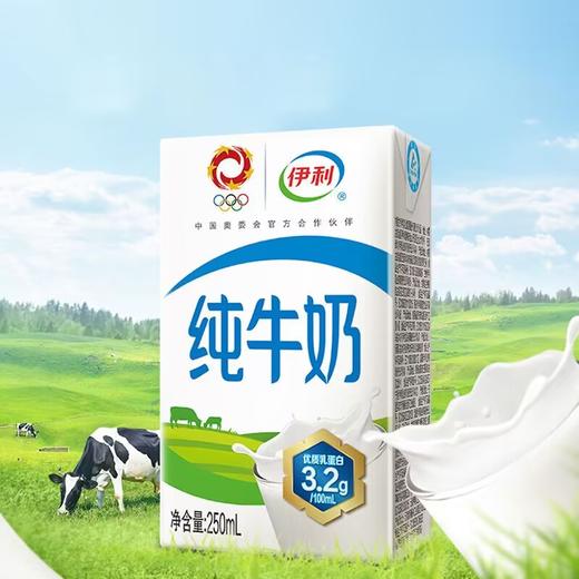 伊利纯牛奶250nl/盒 商品图0