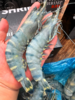 2025新虾上市！【黑虎虾】16/20纯蓝，每斤8-10只！超多虾青素！ 商品缩略图0
