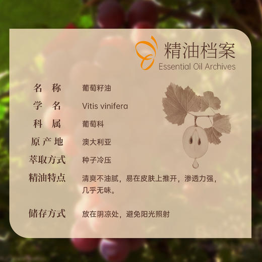 【双12大促】嘉媚乐葡萄籽油  推拿全身 基础身体按摩精油 商品图1
