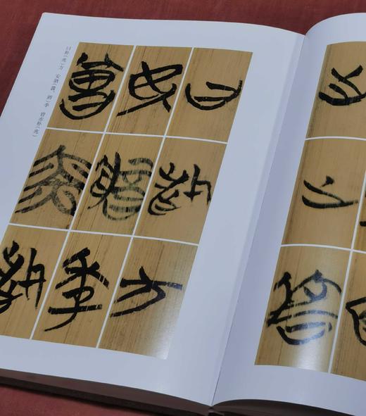 《战国竹简书法艺术》，8开，布面精装，濮茅左著，铜版彩印，中西书局2020年一版一印，定价680，售价258元。品95成。 商品图7