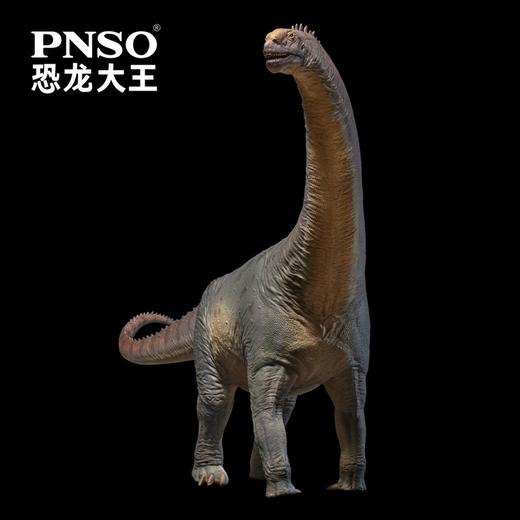 PNSO圆顶龙尼约尔恐龙大王成长陪伴模型85 商品图4