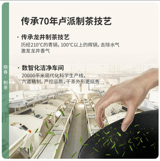 卢正浩丨2024年高山明前龙井听 商品图4