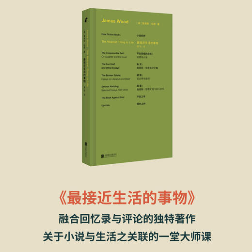 詹姆斯·伍德系列（《真看》《私货》《破格》《不负责任的自我》《不信之书》单本任选，无《小说机杼》） 商品图5