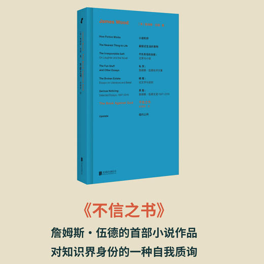 詹姆斯·伍德系列（《真看》《私货》《破格》《不负责任的自我》《不信之书》单本任选，无《小说机杼》） 商品图1