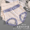 793夏季大码高腰230斤内裤女爆款抗菌不卷边桑蚕丝无痕加大版内裤孕妇可穿 商品缩略图3