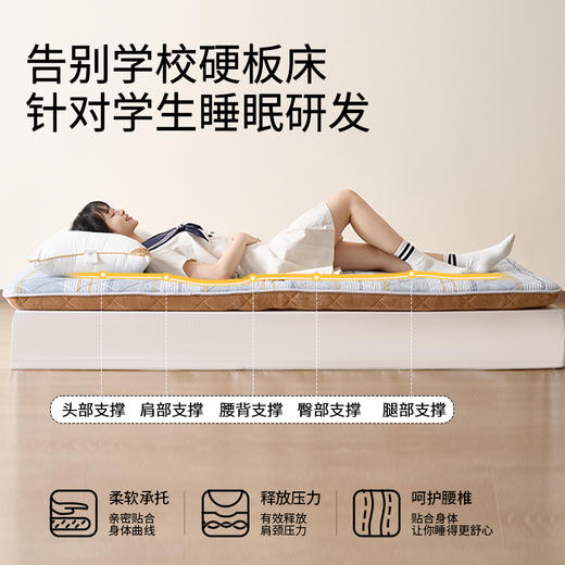 佳丽斯床垫宿舍学生单人加厚榻榻米软垫四季通用大学寝室专用褥子 商品图2