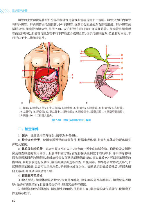 急诊超声分册 急诊医师核心能力建设系列教材 徐军 张秋彬 超声在各系统常见急诊疾病中床旁临床应用 人民卫生出版社9787117354806 商品图4