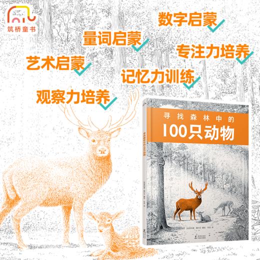 寻找森林中的100只动物 商品图2