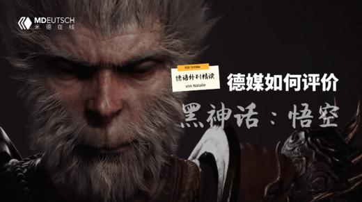 【德语精读】德媒如何评价“黑神话" 商品图0
