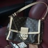 独家私渠   SOFT达芙妮大号  经典邮差包  双肩带单肩包老花斜挎包 商品缩略图0
