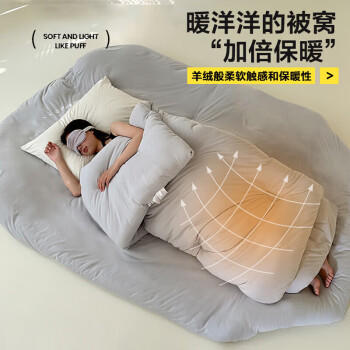 南极人被子 春秋四季被双人被芯被褥棉被空调被5斤 200*230cm灰色 商品图0