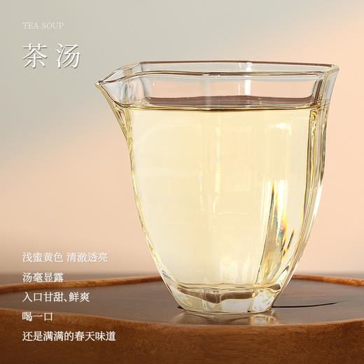 2022福鼎白茶牡丹王（春山可望）300克 商品图3