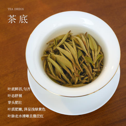 2022福鼎白茶牡丹王（春山可望）300克 商品图2